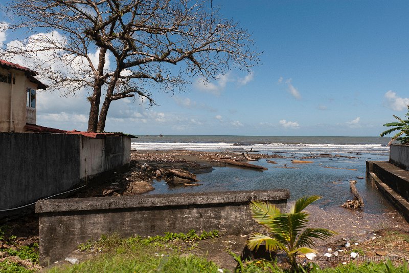 20101204_130419 D3.jpg - Caribbean coast, Panama